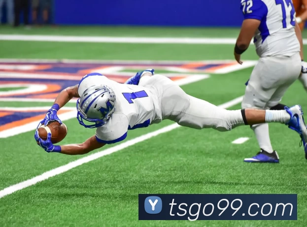 天狮娱乐官网服务体系